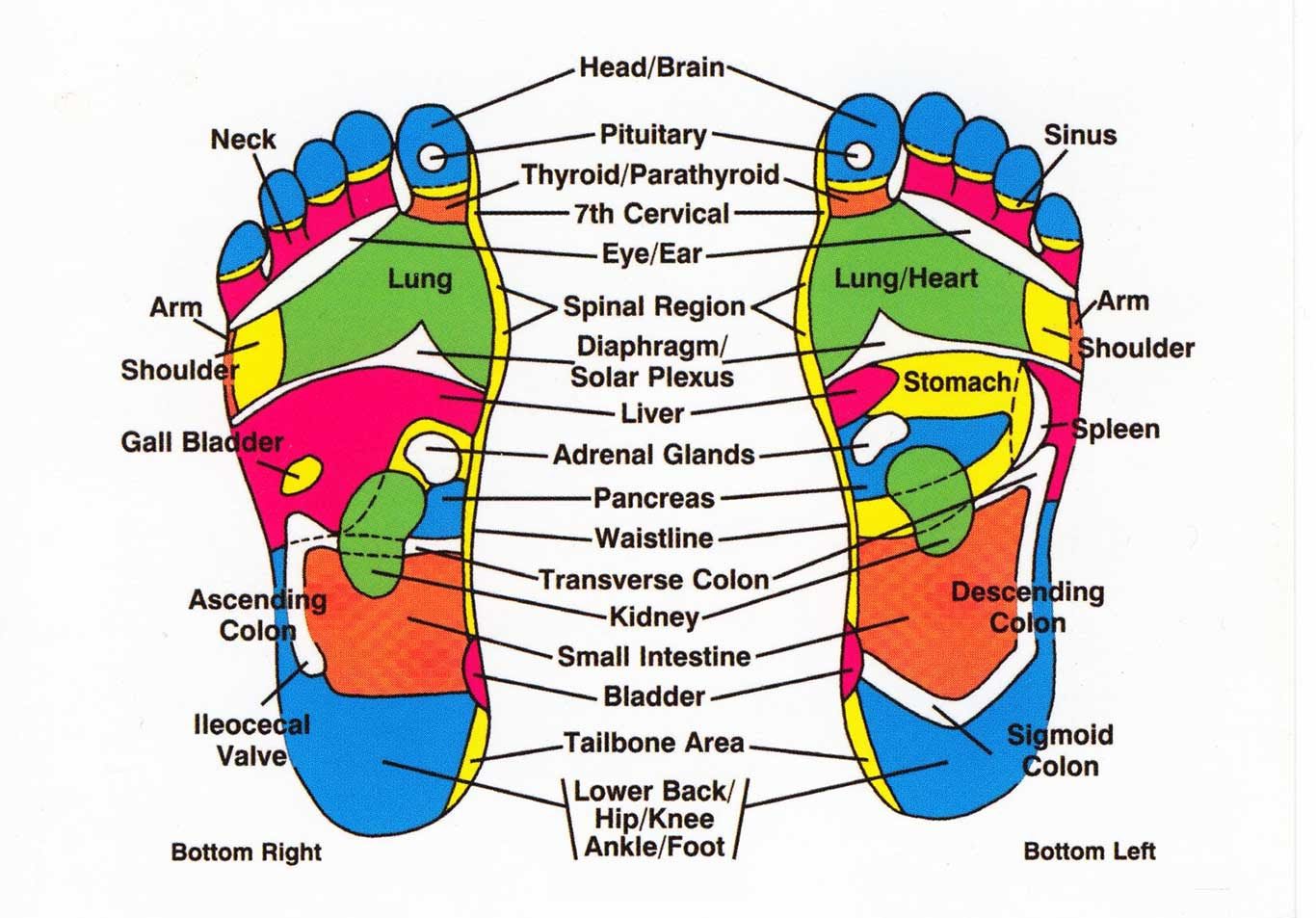 Foot Chart For Back